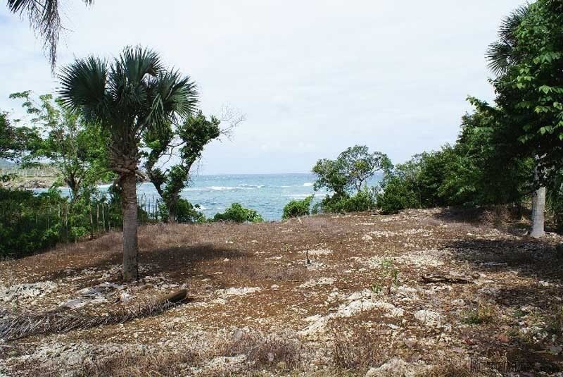 Water Front Lots For Sale In Cabrera - 2