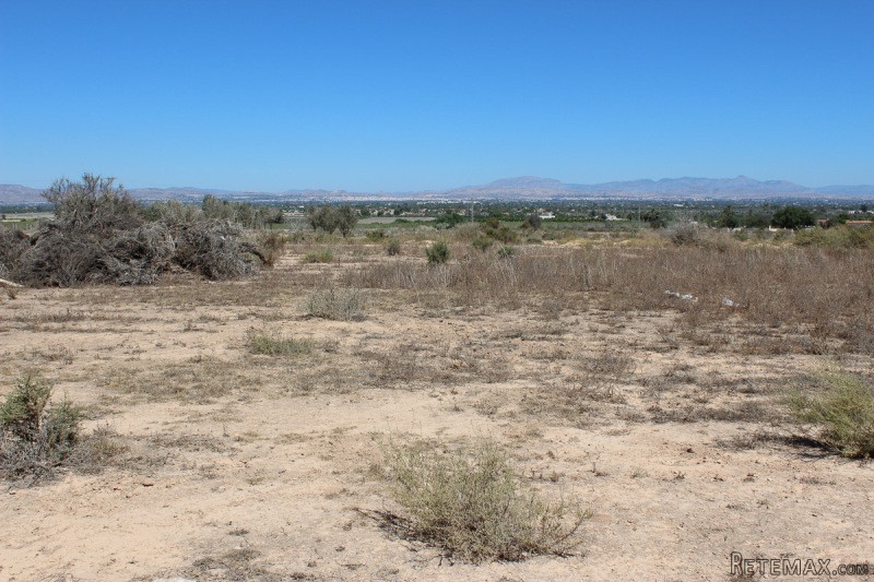 - Land - For Sale