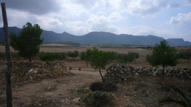 1 bedroom Apartment in Jumilla (Ref... - 2