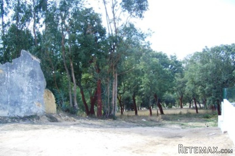 Land