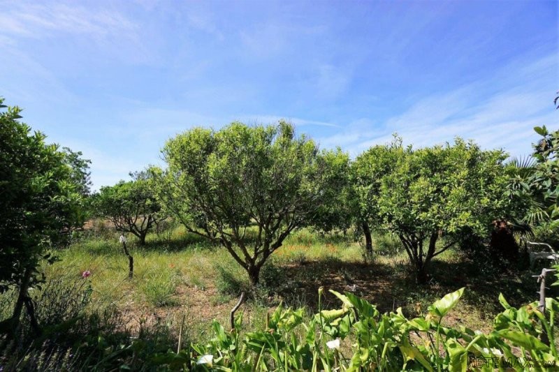 Finca in privileged area on the.. - 2