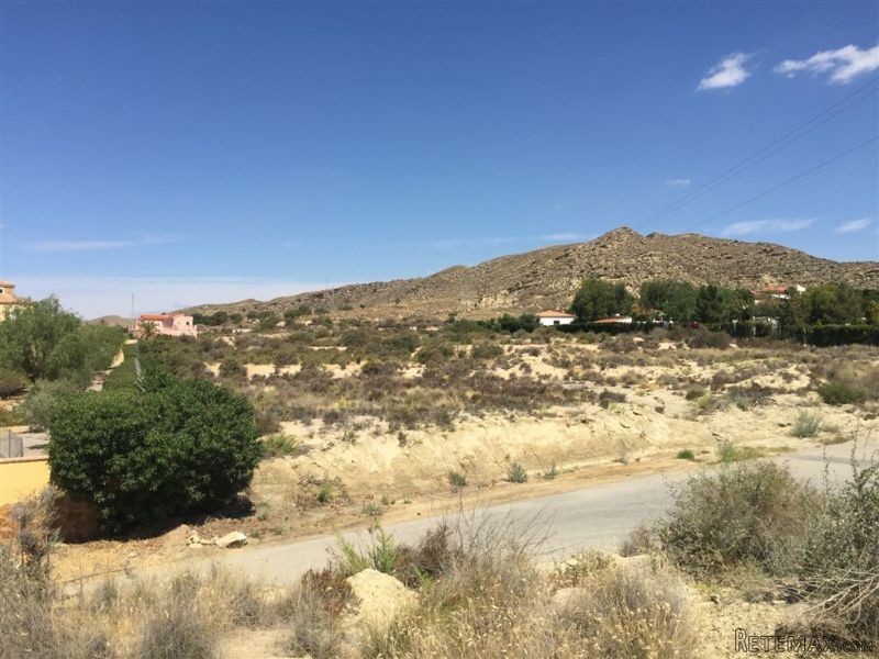 Ref.300001 . Plot - Sales - Vera .... - 2