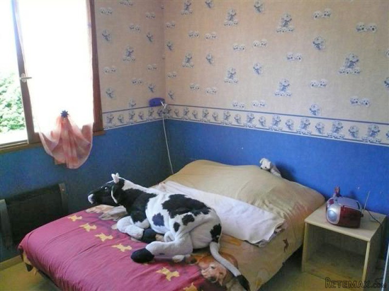 Traditional Villa With Garden And.. - 2
