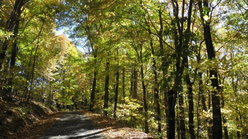 NC Mountain Cabin Acreage - 2