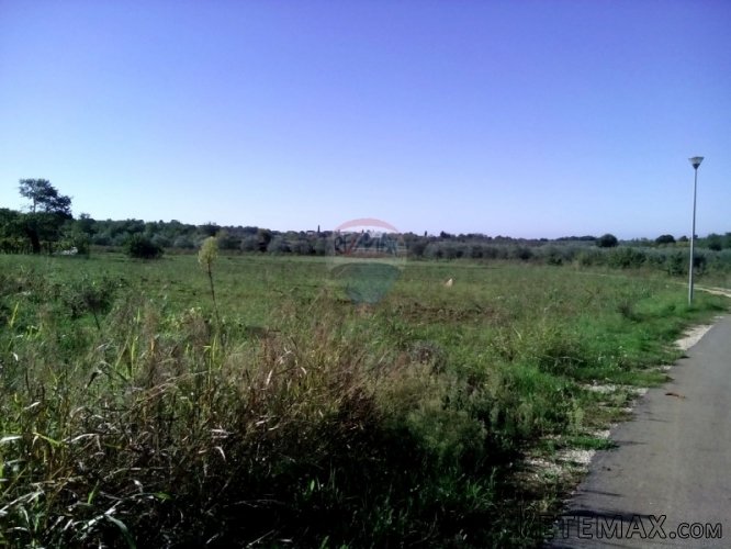 Građevinsko zemljište- Kukci - 2