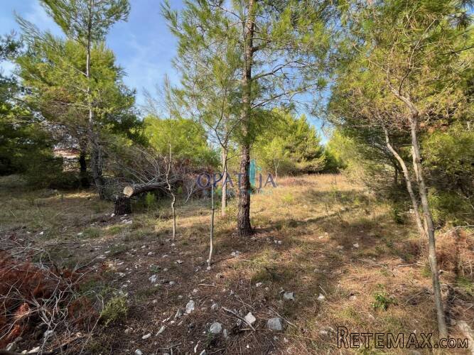Vir, zemljište 739m² u građevinskom području, 150 m od mora - 3