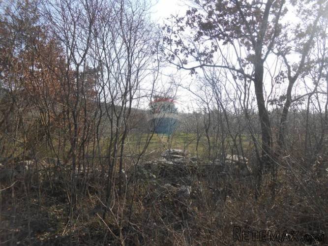 Istra, okolica Rovinja, Sošići, poljoprivredna parcela - 4
