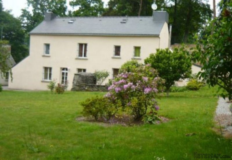 Nice 3 Bedroom House and Garden