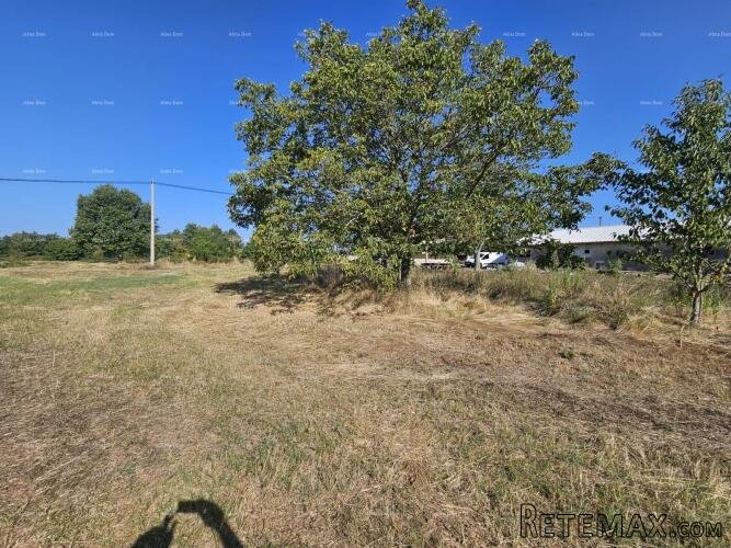 Prodaja građevinskog zemljišta, Žminj - 2