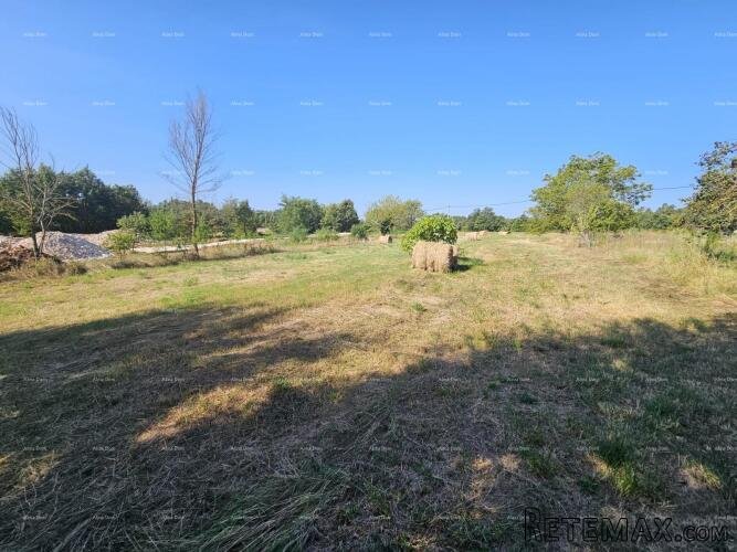 Prodaja građevinskog zemljišta, Žminj - 3