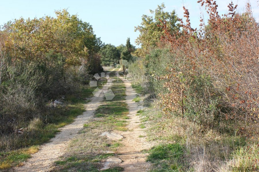 Velika parcela na odličnoj lokaciji - 3