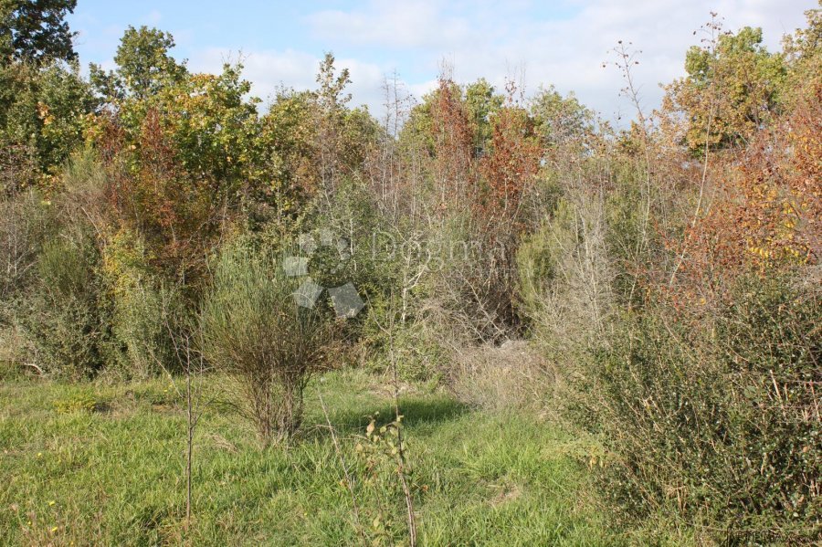 Velika parcela na odličnoj lokaciji - 4