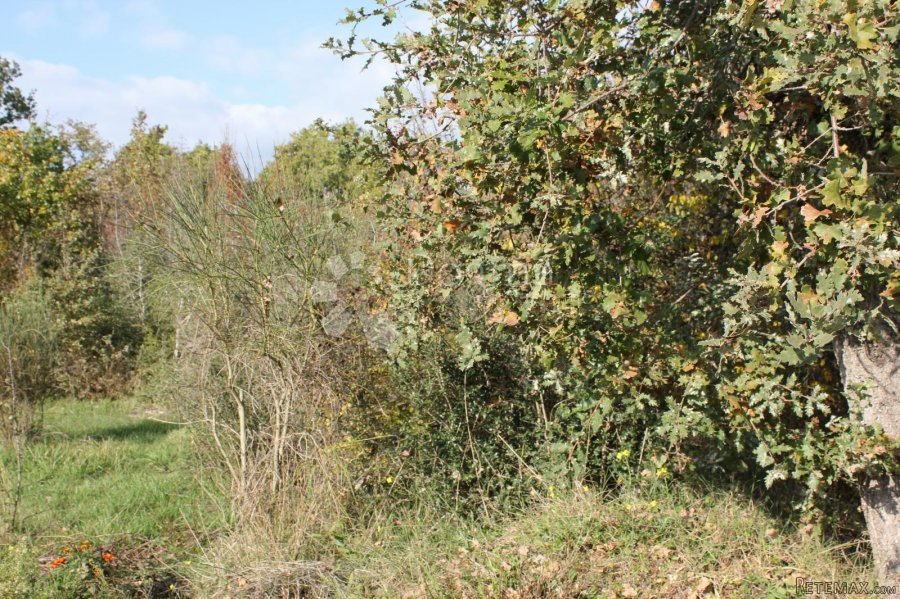 Velika parcela na odličnoj lokaciji - 6