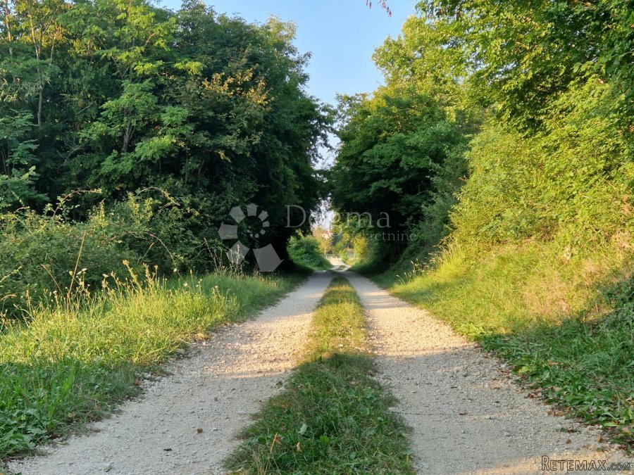 Poljoprivredno Zemljište 200m od centra Vižinade - 2