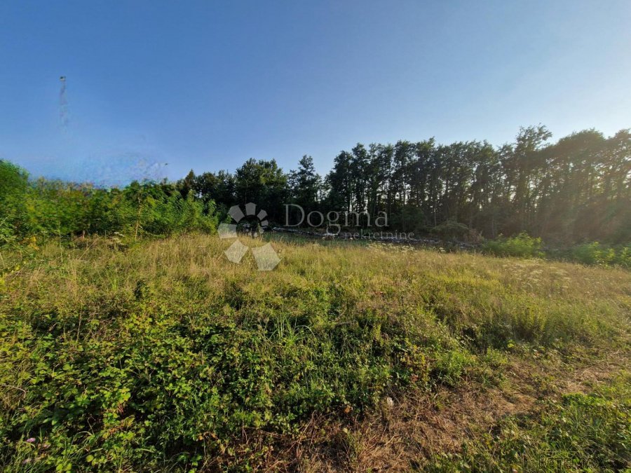 Poljoprivredno Zemljište 200m od centra Vižinade - 7