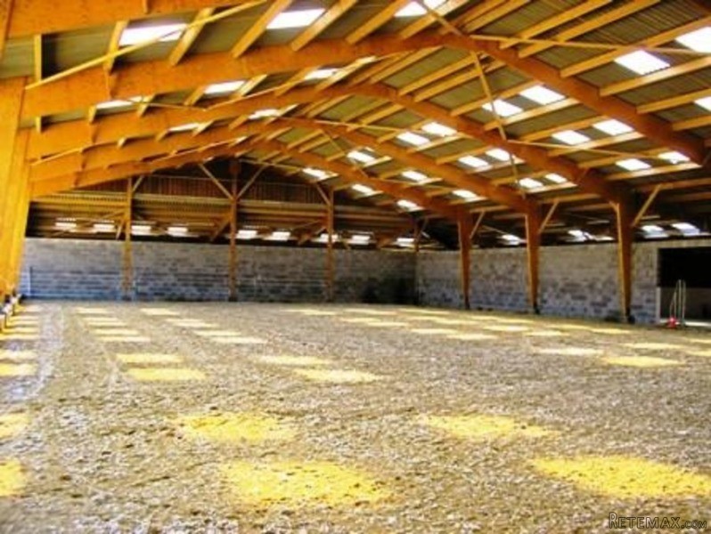 Equestrian Property On 61 Acres - 2