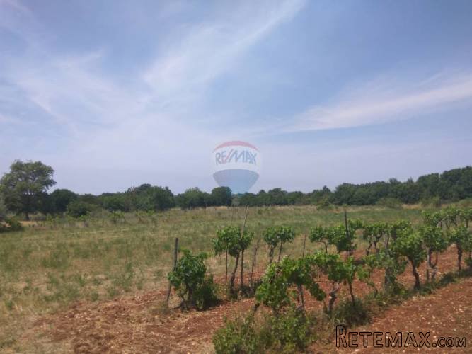 Istra, Kanfanar- građevinsko zemljište 3160m2 - 5