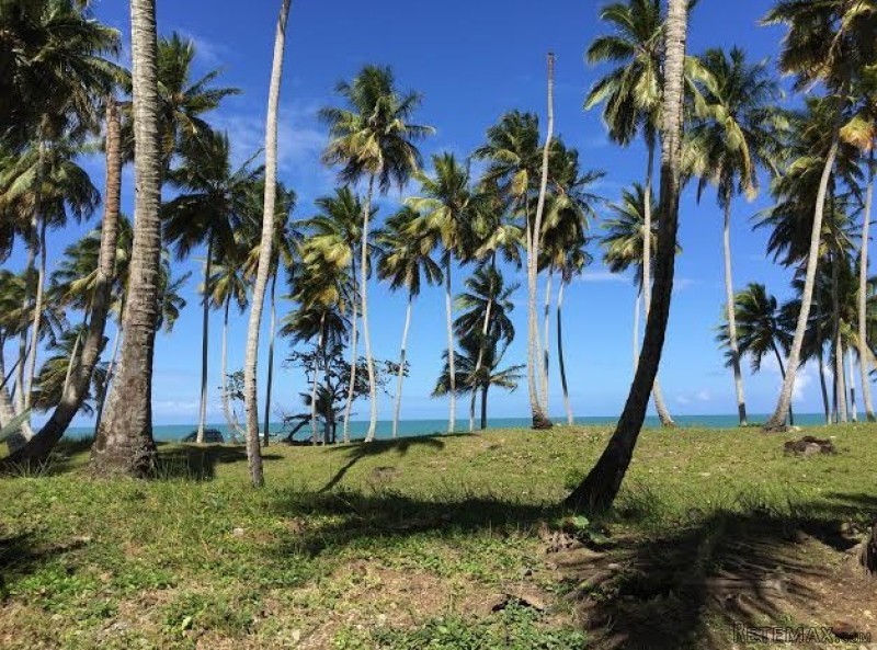 Las Canas Beachfront Lot For Sale - 2