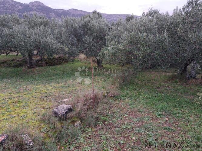 Poljoprivredno zemljište Hvar 48000m2 - 2