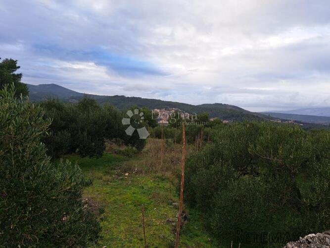 Poljoprivredno zemljište Hvar 48000m2 - 3