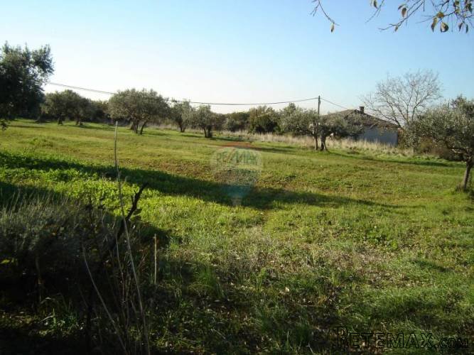 Istra, okolica Vodnjana, velika parcela sa gradjevinskim... - 5