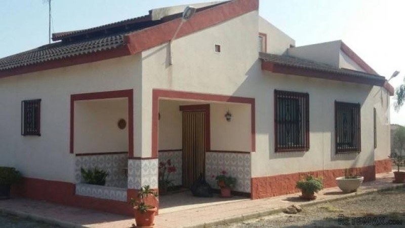 Excellent Villa In Elche - 2