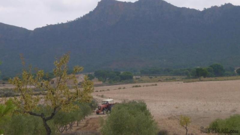 1 bedroom Apartment in Jumilla (Ref...