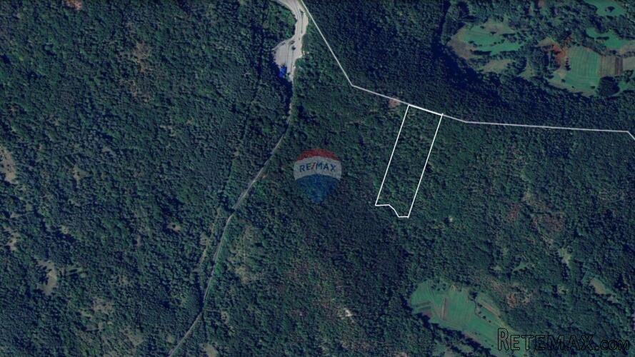 MATULJI - BRDCE - ŠUMA - 17.200 m2 - 2