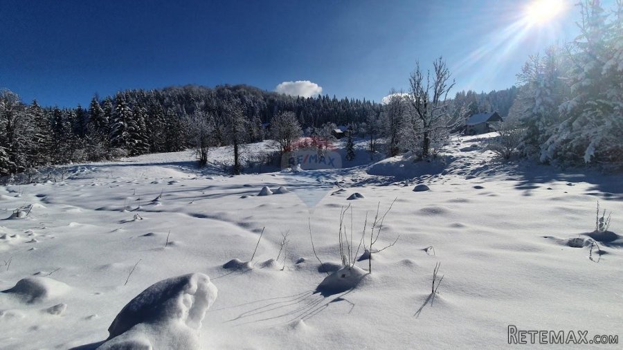 Stara Sušica - poljoprivredni teren - 3
