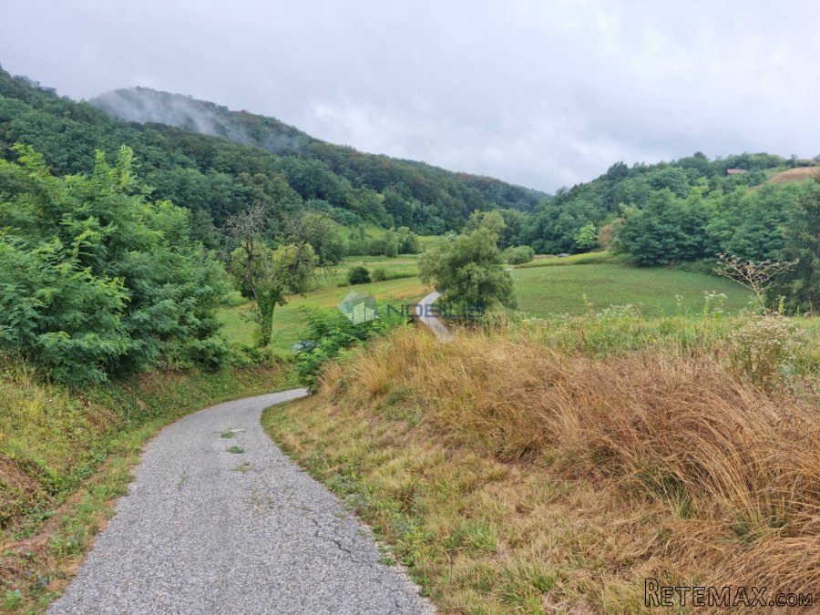 Donja Voća, kuća gosp. zgrade, voćnjak i šuma - 5