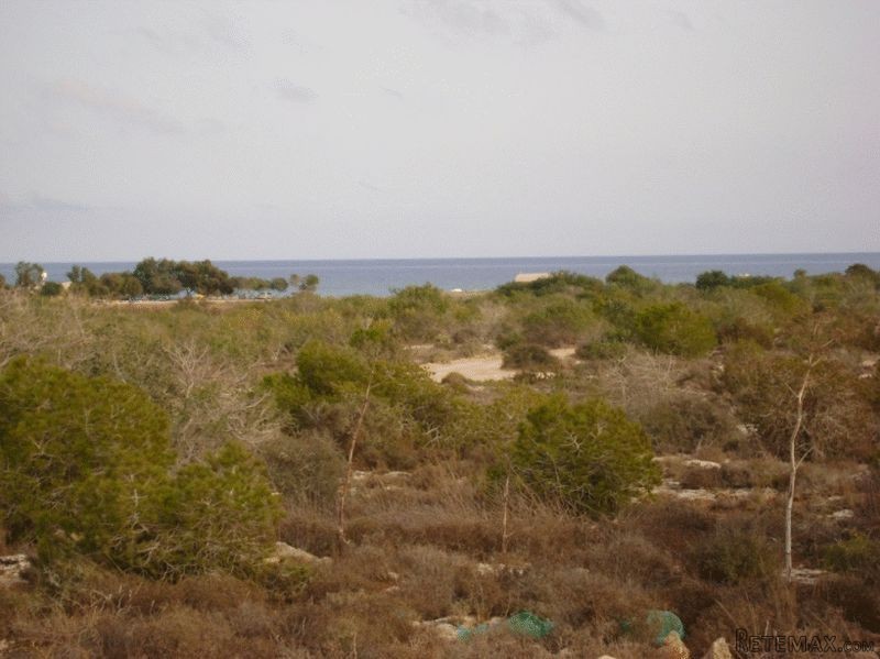 - Land - Famagusta - For Sale