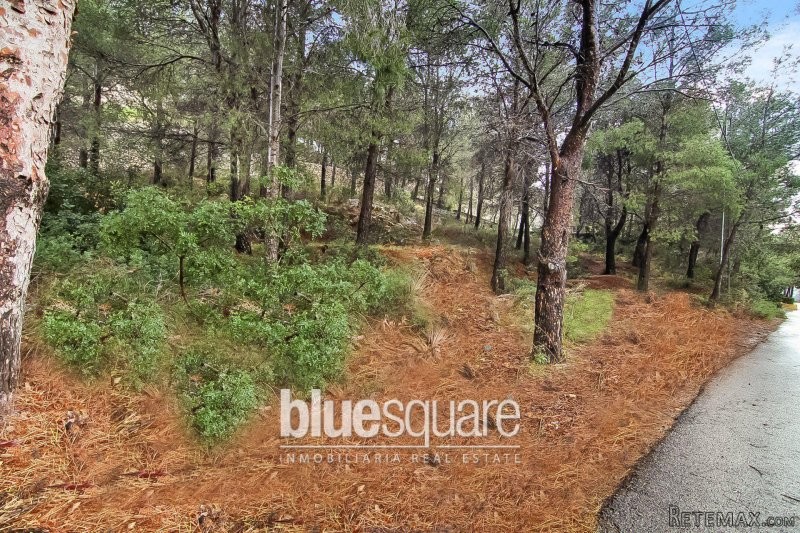Plot of Land in Altea - 2