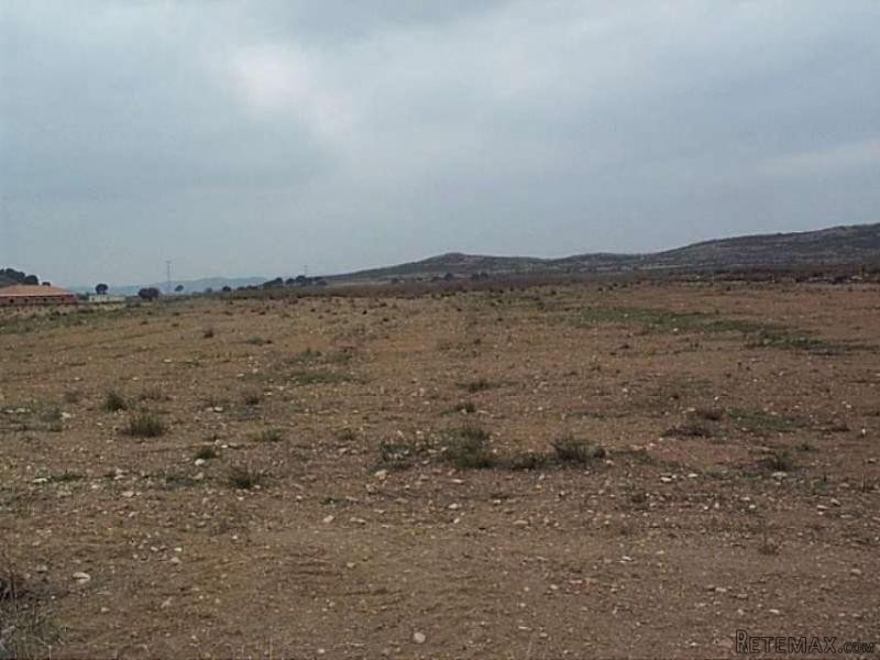 0 bedroom Land in Pinoso (Ref. PV3076) - 2