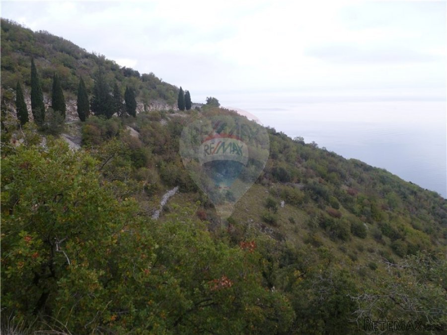 BRSEČ - 26.000 m2 - POLJOPRIVREDNOG TERENA UZ MORE - 2