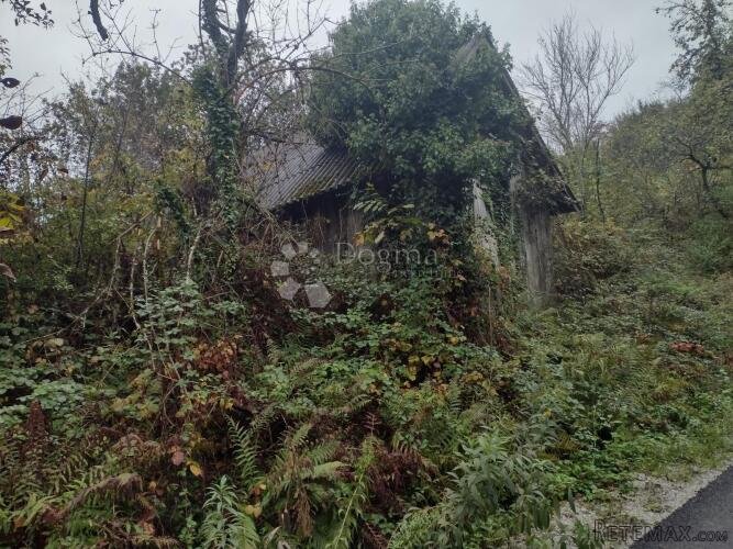6.5 Ha u divljini s mogućnošću kupnje još zemlje - 3