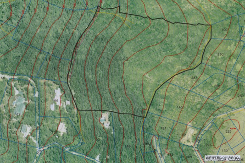 Large acreage site in desirable Shannon