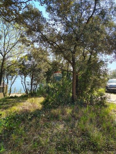 Istra Peruški- zemljište 771 m2, pogled more, pristupni put - 2