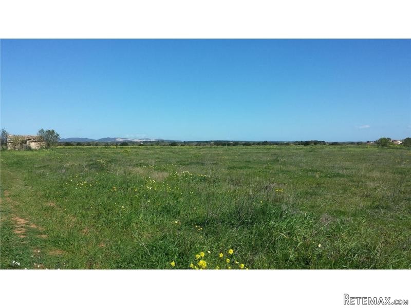 Land New Construction For Sale In Campos - 2