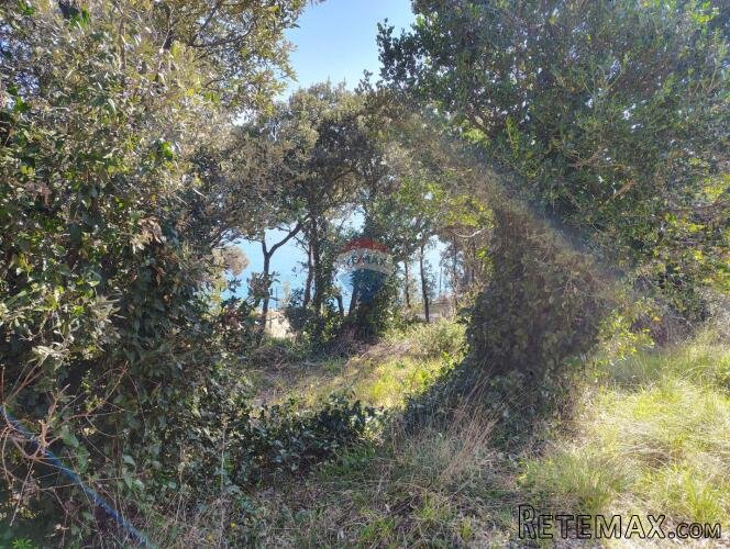 Istra Peruški- zemljište 771 m2, pogled more, pristupni put - 3