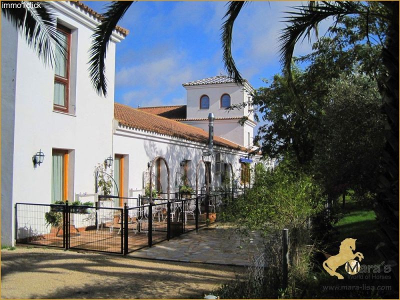 Arcos de la Frontera: Equestrian hotel.. - 2