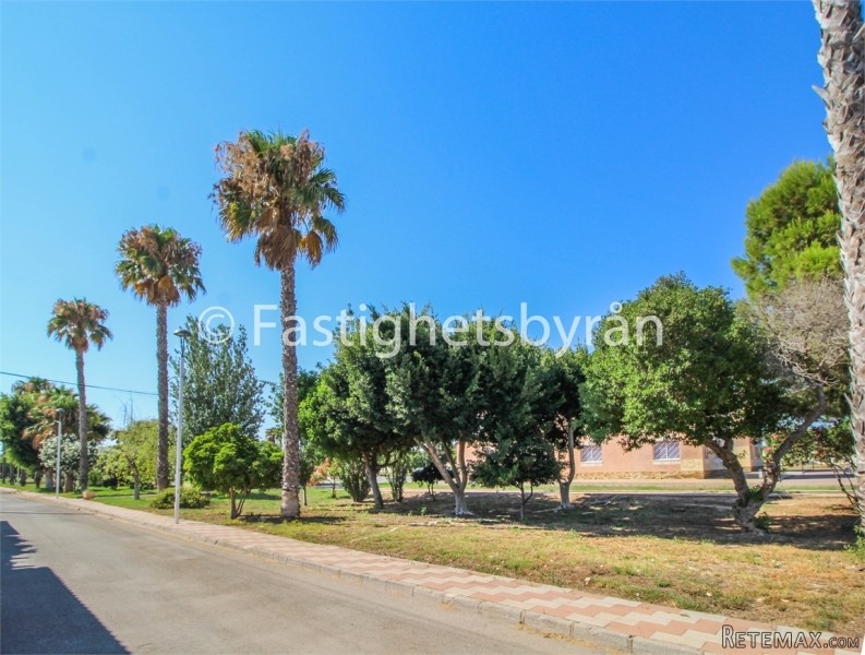 Los Alcazares | Murcia - 2