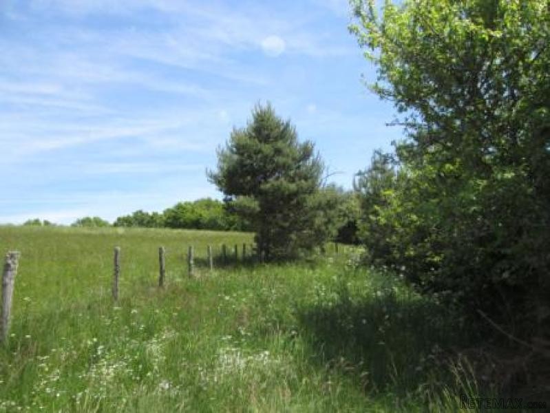 Country House For Sale - 2
