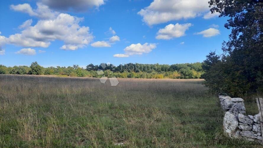 PRILIKA! Poljoprivredno zemljište Štokovci 26059m2 - 3