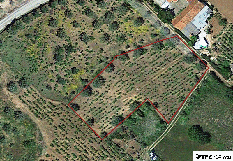 Building Plot For Sale Near Ferreira Do..