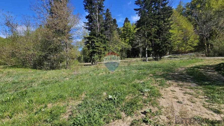 Gorski kotar, Fužine - 45 000 m2 - poljoprivredno zemljište - 2