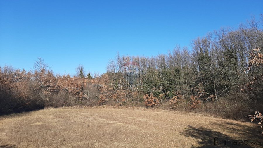 Istra, Svetvinčenat, građevinsko zemljište - 2