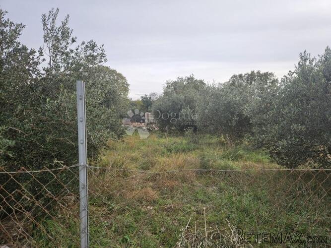 Građevinsko zemljište u Polači – mir, priroda i tradicija u - 3