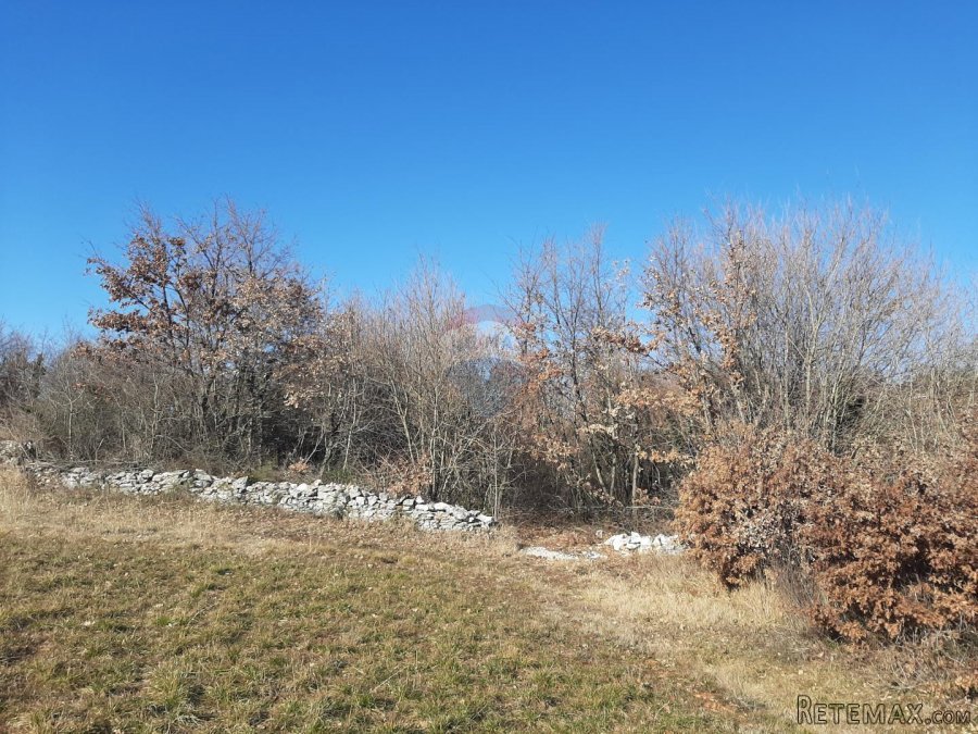 Istra, Svetvinčenat, građevinsko zemljište - 3