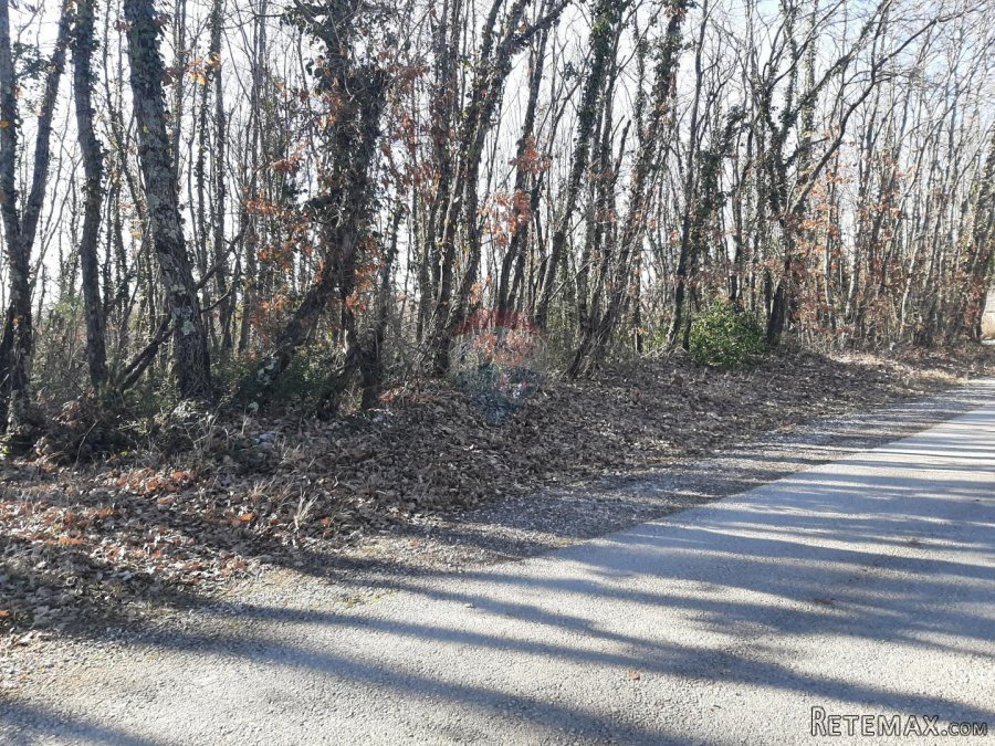 Istra, Svetvinčenat, građevinsko zemljište - 4