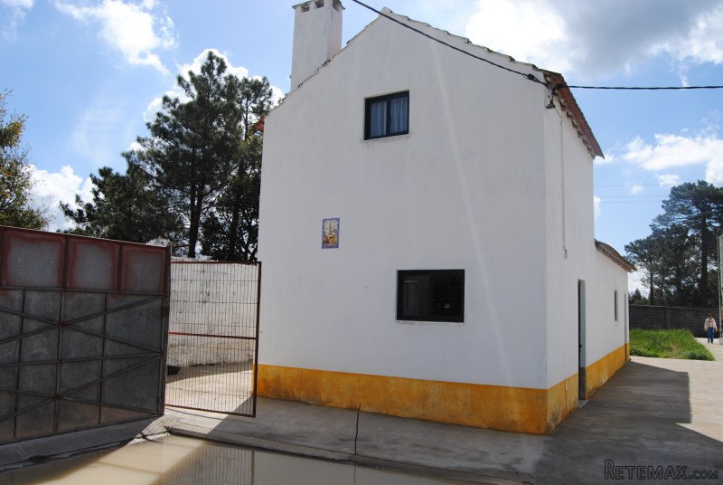 Pecuaria - 2
